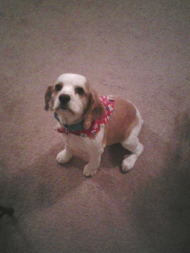 jsnhtr3's profile picture. 