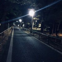 由来音 (@ins4ne_amnesia) 's Twitter Profile