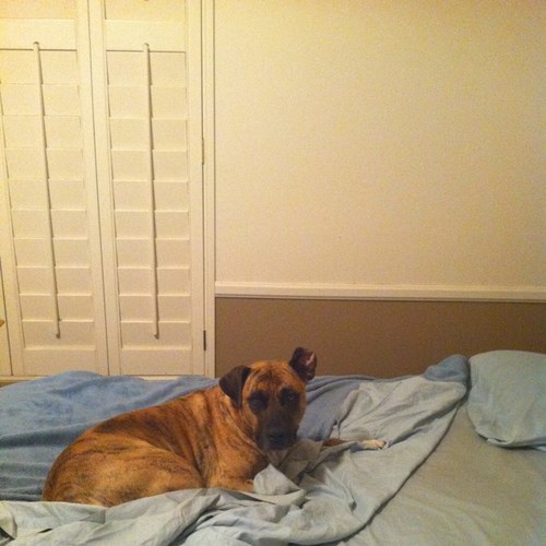 geartech8's profile picture. 