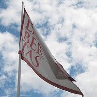 Pululante (@pululando) 's Twitter Profile Photo