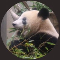 七花 (@nanatomtom) 's Twitter Profile