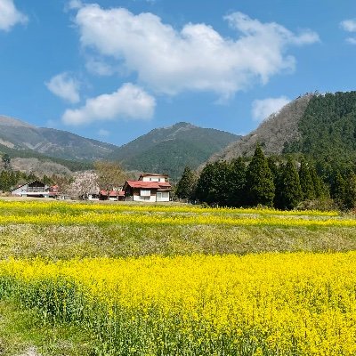 AZ0OScdTJTP5XEq's profile picture. 