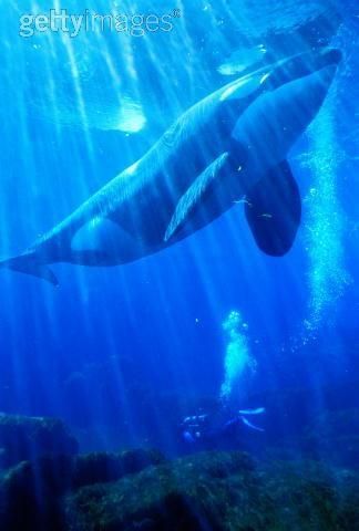 Index1234Index's profile picture. 2011년 최식작 릴게임 백경
여러분을 초대합니다 
http://t.co/0ZVqbHb8VB