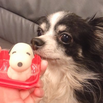 umi04339746's profile picture. seijo1年　このアカウント死んでます