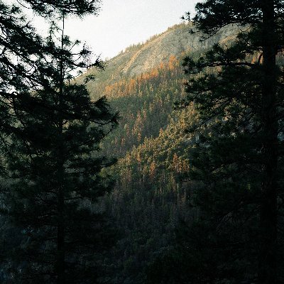 plin360's profile picture. Professional Services