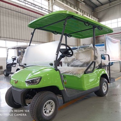 Wuling golf cart,searching for dealers all over the world.