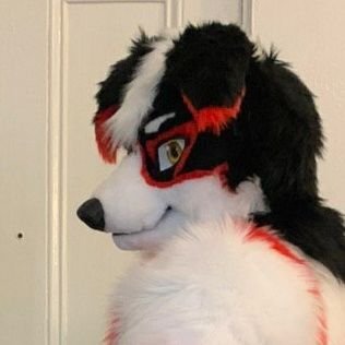 Just a fun social Collie/ Meerkat fursuiter :D I'm a card, board, video game designer and player, fursuit dancer, mtg player :D Telegram @Axtonego
AD @AxtonAD