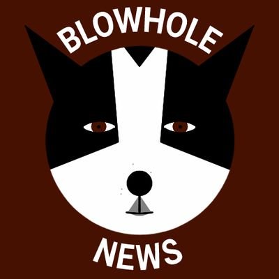 100% reputable and unbiased news source for the world's goodest guilty boye. Fan account - not affiliated with Blowhole in any way, sadly.