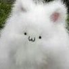 （＝・ω・＝）Agniさんのプロフィール画像