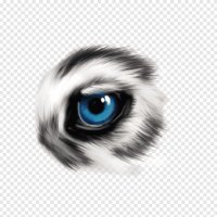 عين على الطبيعه (@dtd9t) Twitter profile photo