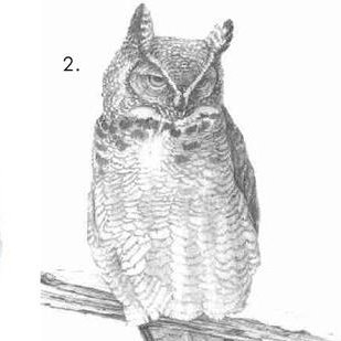 Still working on drawing the rest of the owl. Pre-post-rat. Deo-monarchical classical liberal. Definitely salvageable. Pecinum delenda est.