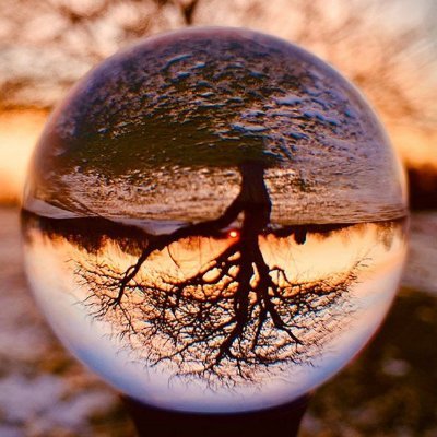 atopendoors's profile picture. marketer and promoter