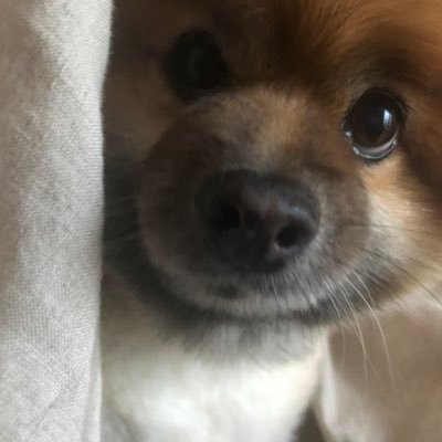 gLtDiK22Gej29TP's profile picture. 東海大2年 政治経済学部 政治学科です  楽単さがしてます