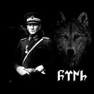 TolgayGrmolu1's profile picture. 