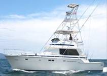 BushwackerCR's profile picture. 