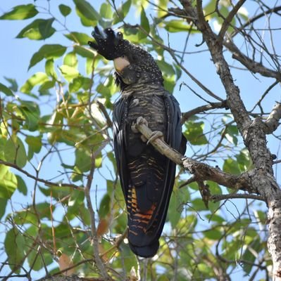 Imelda497959831's profile picture. life long love of environment/creative/ writer/arts & culture/social & political interest/story/ community conversation/well being/equality/justice. M.E./MCS/FM