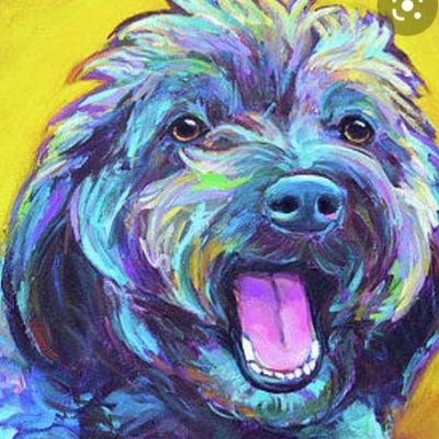 I am a poodle mix. . I am 8 weeks old on the day I made this account. It's a whole new world. Born 4 January 2021. Ned crossed the rainbow bridge Nov 29, 2023.
