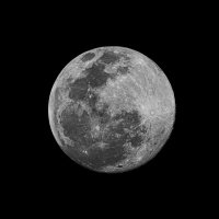 MOON. (@_moonout) 's Twitter Profile