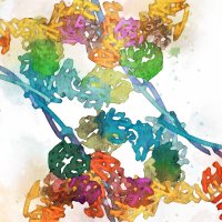 Plaschka Lab (@plaschka_lab) 's Twitter Profile Photo Plaschka Lab (@plaschka_lab) 's Twitter Profile Photo
