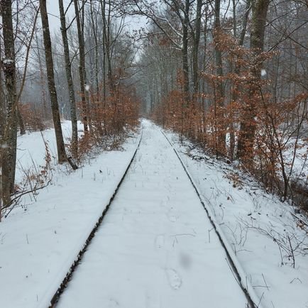 Freedom21045651's profile picture. i want to be fair