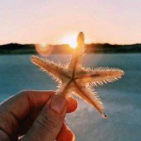 Play Stay Australia (@playstayau) 's Twitter Profile Photo Play Stay Australia (@playstayau) 's Twitter Profile Photo