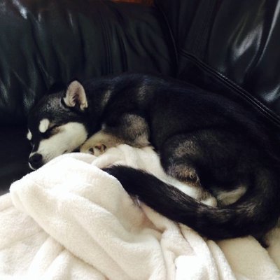 tubbyclark's profile picture. Mad mum, Naughty Nana and totally nuts