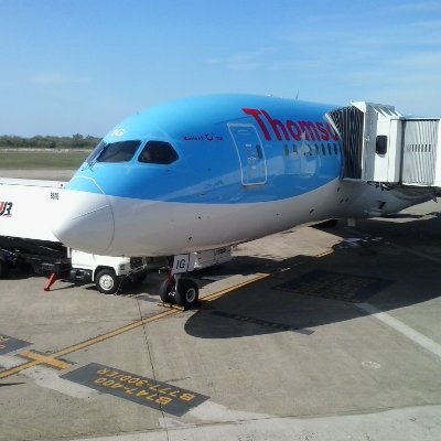 davidro17282291's profile picture. 