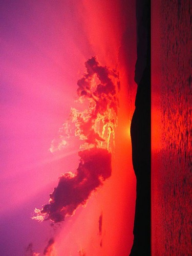 MickeyFezell's profile picture. 