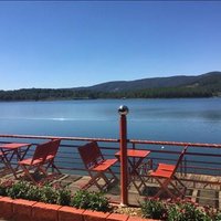 Wulfsige Duckett ❤️ Memecoin (@duckettwulfsige) 's Twitter Profile