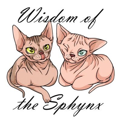 SphynxWisdom's profile picture. Two Sphynx Cats Living Their Best Lives