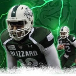 RB for the @gbblizzard 🥶⛄️             Signed to Aggressive Sports @agentmikecelli @aggressivesean😤 🏈 Instagram: yswb_rizzyram