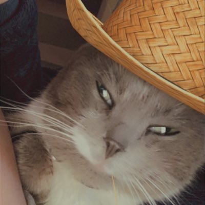 est ce que mon Twitter est en privée???