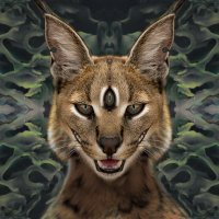 Asral👁️re (@asralore) 's Twitter Profile