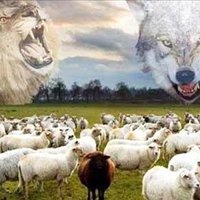 Penda Backman ❤️ Memecoin (@backmanpenda) 's Twitter Profile