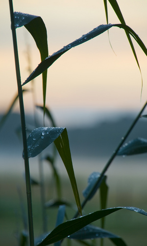 Barry_deH's profile picture. Gebracht daglicht, licht schijnen op hetgeen wat het daglicht niet kan verdragen.
Het vrije woord en mening is belangrijk, maar schelden = block.