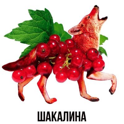 Херальный Шокал против войны с Украиной (@ShakalTabaki)
