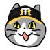 阪神ファンの現場猫キッタ (@genbaneko_tora) Twitter profile photo