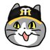 阪神ファンの現場猫キッタ (@genbaneko_tora) Twitter profile photo 阪神ファンの現場猫キッタ (@genbaneko_tora) Twitter profile photo