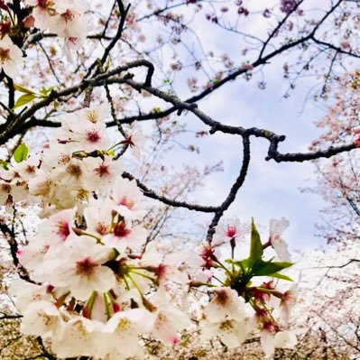 病棟Ns→産業保健師→健診保健師⭐️色々な思い、考えを綴りたい。子育て・本・雑誌・音楽・ストレッチ、コーヒー、食べること、温泉、音楽、洋服・料理🍠🥦🥕