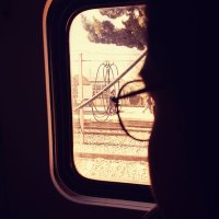 Flying Plate (@_merrygoaround_) 's Twitter Profile