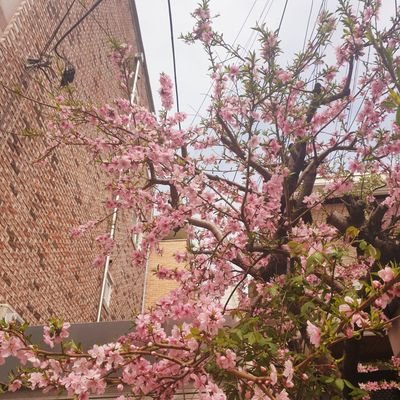 Jinju621's profile picture. 뭉충이..ㅠ