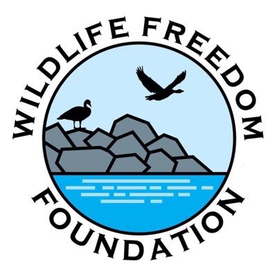 Non-for-Profit 501c3 Organization animal rescue/sanctuary/wildlife rehabilitation