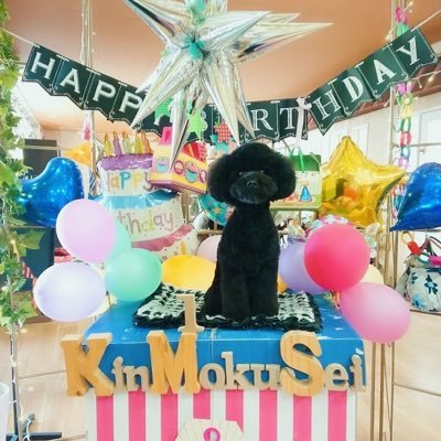 nobu1450's profile picture. フライフィッシング好きの親父です。たまに釣果等実況するかも～コンサ最高！小学生のサッカー小僧の父でもある。