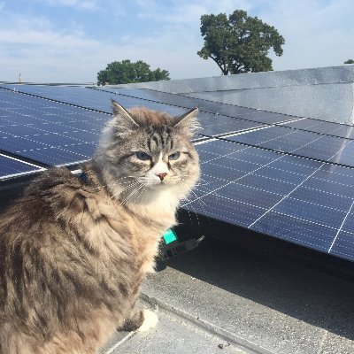 @votesolar Federal Liaison and Mid-Atlantic Regulatory Director. Alum of @fletcherschool, @cornell, @green_corps, @ENERGY, and @OMBpress. Views my own.