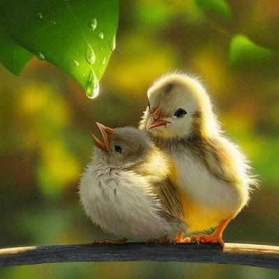 warkade_vaibhav's profile picture. 