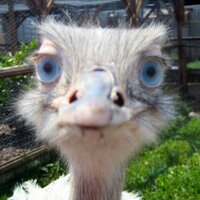 daveflorence (@daveflorence) 's Twitter Profile