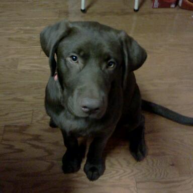 Stacy_Simmons76's profile picture. 