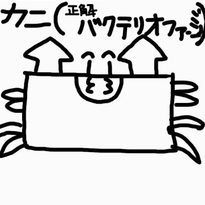 見習いαさんのプロフィール画像