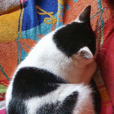 GeesjevanD's profile picture. Mevrouw Van Dalen wacht op antwoord.