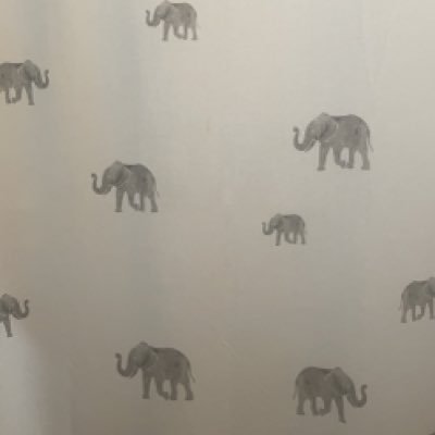 dixnass's profile picture. NH, Boston, Portland